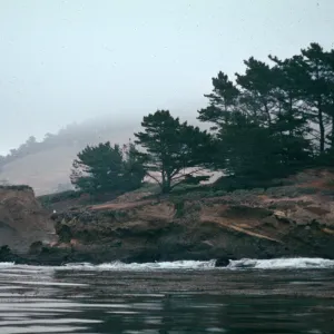 Pt. Lobos