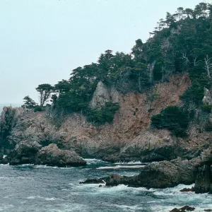 Pt. Lobos