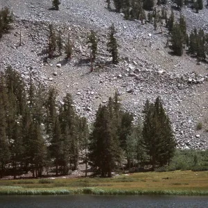 Heart Lake, upper Rock Creek, Sierra Nevada