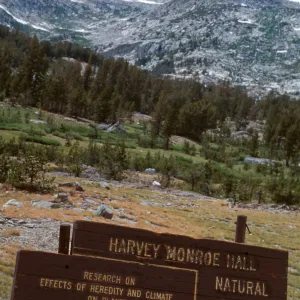 Carnegie, Alpine site, Hall Nat. area