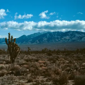 Providence Mtns.