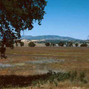 Jolon Valley, Ft. Hunter Liggett