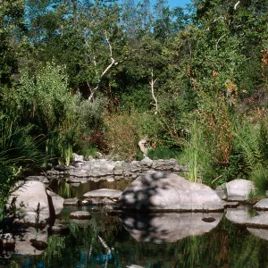 San Miguel Creek, Ft. Hunter-Liggett