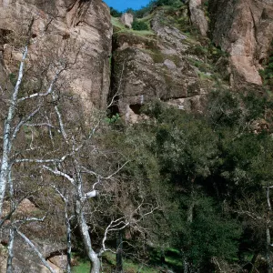 site of Portola Trail, September 18-21, 1769, Palisades, Nacmiento River, Hunter-Liggett, April,1996