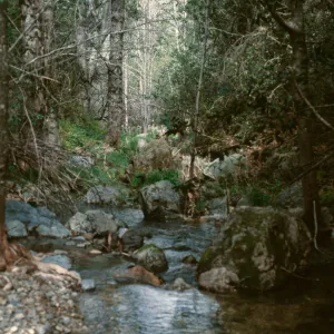 San Miguel Creek, Santa Lucia Mountains, April, 1996