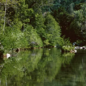 San Antonio River, Ft. Hunter-Liggett