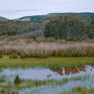 Kearney Mesa