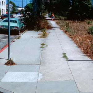 sidewalk