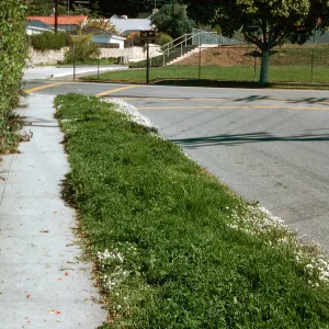 Laguna & Mission