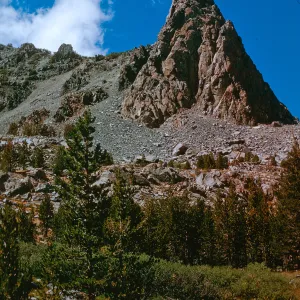 Pinnacle - trail above Virginia Lake, K.K.M., August 66