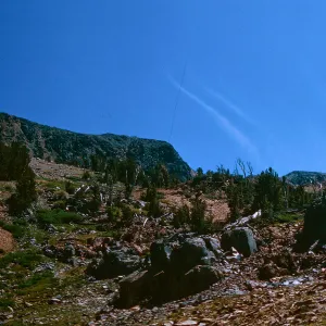 Pennant clouds - meadow above upper Hoover Lake, 8/29/1966