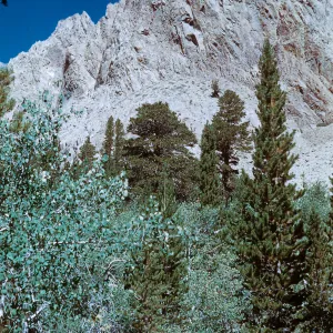 above North Lake on Piute Pass Trail