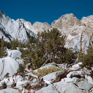 trail to Piute Pass