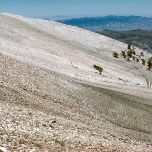 White Mountain