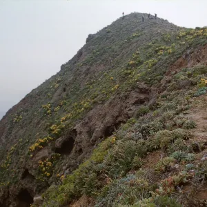 Anacapa Island