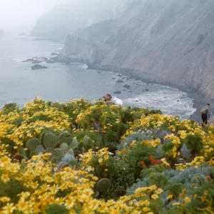 Anacapa Island