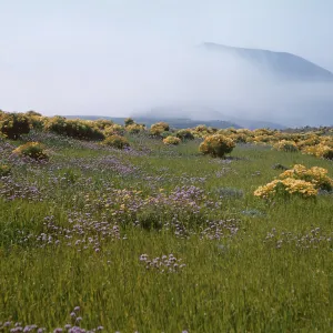 Anacapa Island