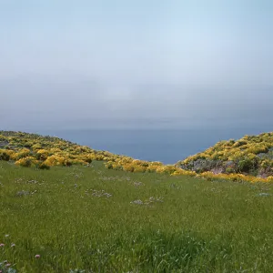 Anacapa Island