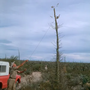 Neil collecting Idria, Baja