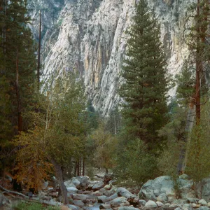 Tuttle Creek, King's Canyon, Garden bus trip