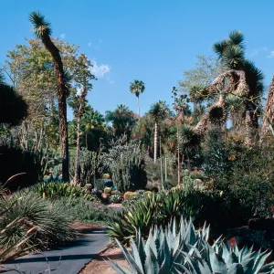 Huntington Garden