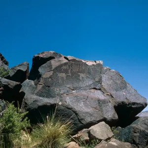 Coso