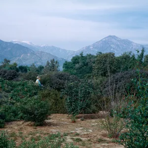 Rancho Santa Ana