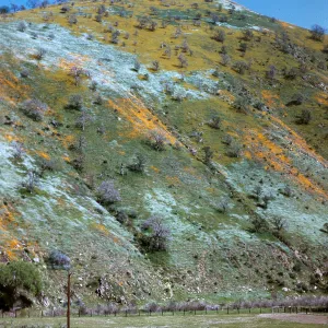 Tehachapi