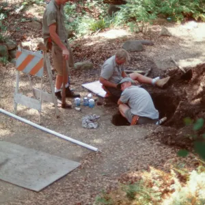 workers, SBBG