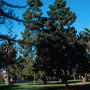 Alameda Plaza