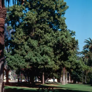 Alameda Plaza