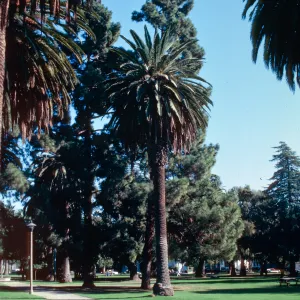 Alameda Plaza