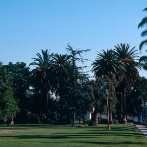 Alameda Plaza
