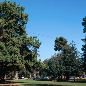 Alameda Plaza