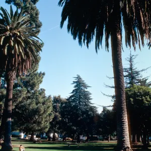 Alameda Plaza