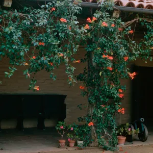 Santa Barbara Historical Museum