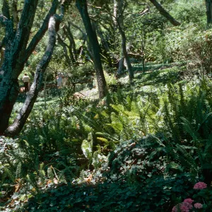 old Parma Estate, CRIS, Master Gardeners Club tour