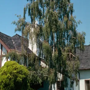 old Parma Estate, CRIS, Master Gardeners Club tour
