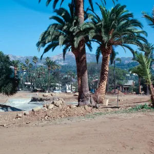 El Mirasol