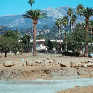 El Mirasol