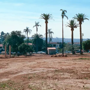 El Mirasol