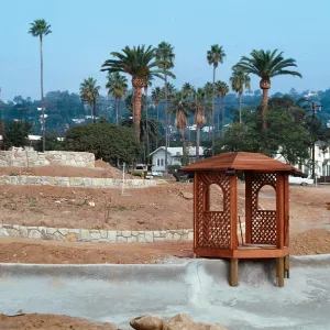 El Mirasol