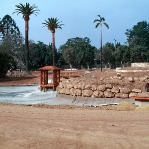 El Mirasol