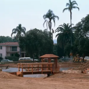 El Mirasol