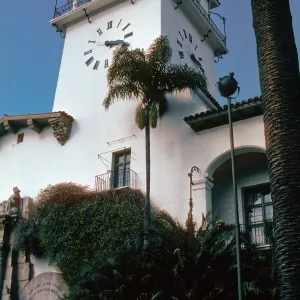Syragus romanzoffiana, Courthouse Tower