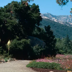 Santa Barbara Botanic Garden