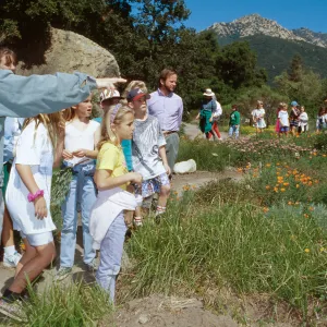 Wildflower Day
