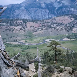 East from top of Ebbett's Pass