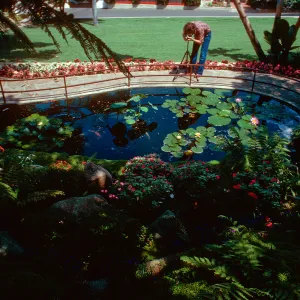 Self-Realization Garden