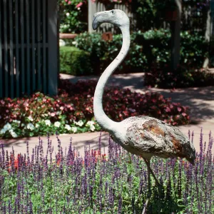 Sherman Library & Gardens, wood flamingo